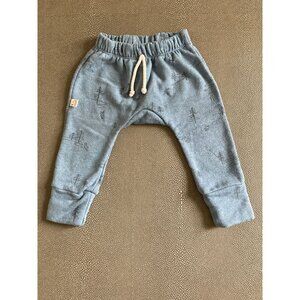 Childhoods Ski Day On Windward Blue Gusset Pants 12-18